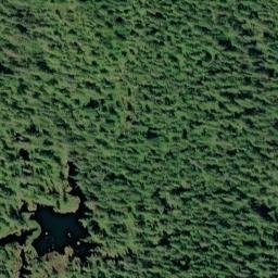 Satellite imagery of Spurt Point, US