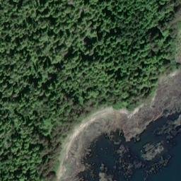 Satellite imagery of Walker Point, US