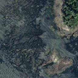 Satellite imagery of Bartlett Point, US
