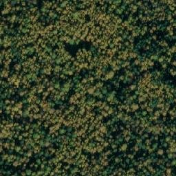 Satellite imagery of Kamen’ Bezymyannyy, RU