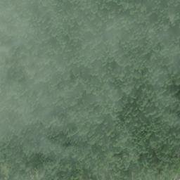 Satellite imagery of Trubitsin Point, US
