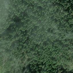 Satellite imagery of Trubitsin Point, US