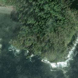 Satellite imagery of Trubitsin Point, US
