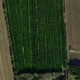 Satellite imagery of Nibe TV Mast, DK