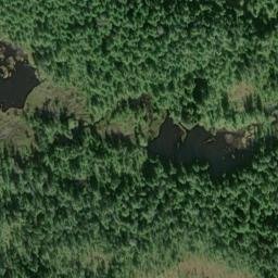 Satellite imagery of Point Agassiz Peninsula, US