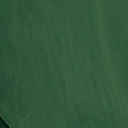 Satellite imagery of Frederick Point, US