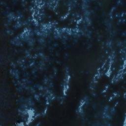 Satellite imagery of Fleet Peak, CA