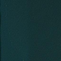 Satellite imagery of Blunt Point, US