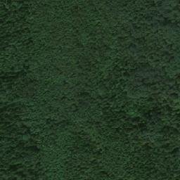 Satellite imagery of Vangusalu Dīnamarkas Akmens, LV