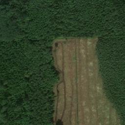 Satellite imagery of Vangusalu Dīnamarkas Akmens, LV