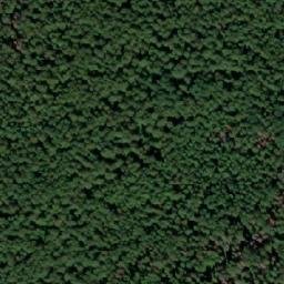 Satellite imagery of Андреева, RU