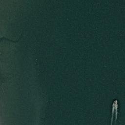 Satellite imagery of Green Point, US