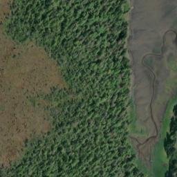 Satellite imagery of Finger Point, US