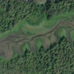Satellite imagery of Spruce Point, US