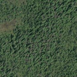 Satellite imagery of Spruce Point, US