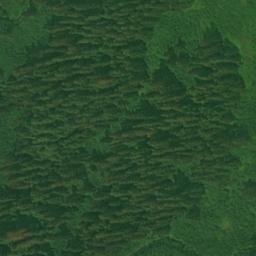 Satellite imagery of Monument 55, CA