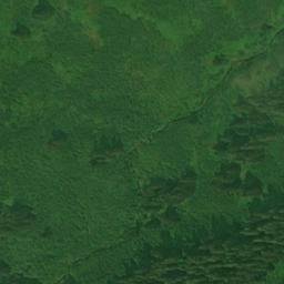 Satellite imagery of Monument 55, CA
