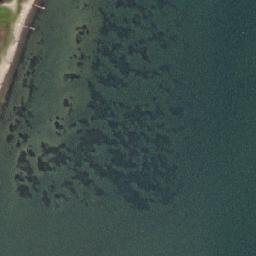 Satellite imagery of Lavbjerg Hage, DK