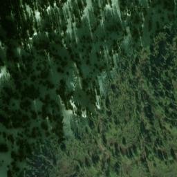 Satellite imagery of Monument 61, CA