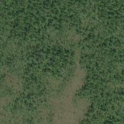 Satellite imagery of Inlet Point, US