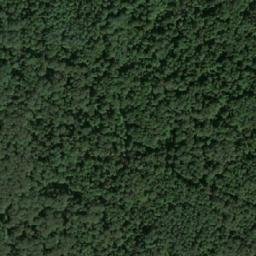 Satellite imagery of Тонгул Вост., RU