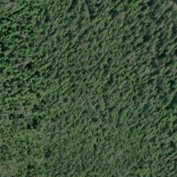 Satellite imagery of survey_point, CA