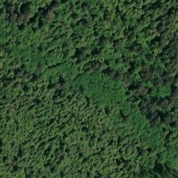 Satellite imagery of Point Alexander, US