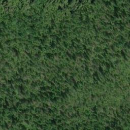 Satellite imagery of Point Alexander, US