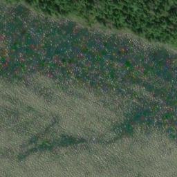 Satellite imagery of Point Alexander, US