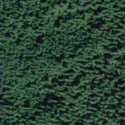 Satellite imagery of Monument 49, CA