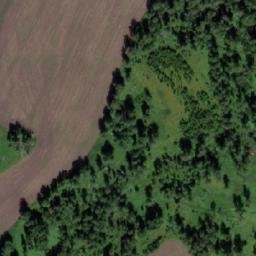Satellite imagery of Поповичи, RU