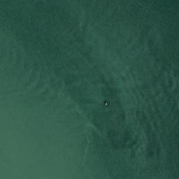 Satellite imagery of Polk Point, US