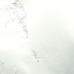 Satellite imagery of Mount Alex, CA