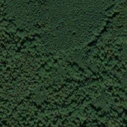 Satellite imagery of Голубинка Вост., RU