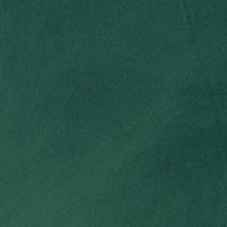 Satellite imagery of Point Shekesti, US