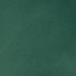 Satellite imagery of Point Shekesti, US