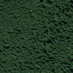 Satellite imagery of Neal Point, US