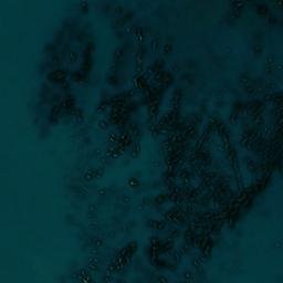 Satellite imagery of Mitchell Point, US