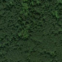 Satellite imagery of Романовка, RU