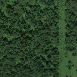 Satellite imagery of Романовка, RU