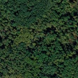 Satellite imagery of Пестрое, RU