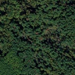 Satellite imagery of Пестрое, RU