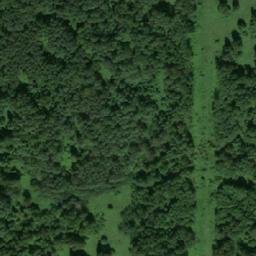 Satellite imagery of Романовка, RU