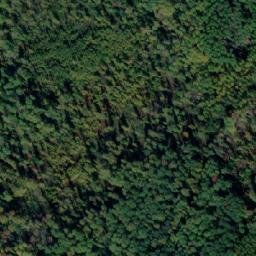Satellite imagery of Пестрое, RU
