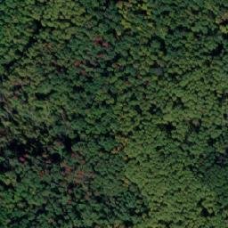 Satellite imagery of Пестрое, RU