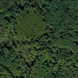 Satellite imagery of Пестрое, RU