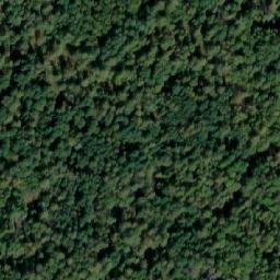 Satellite imagery of Дмитриевка, RU