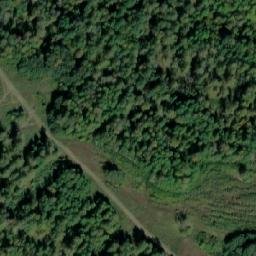 Satellite imagery of Дмитриевка, RU