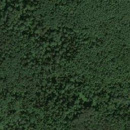 Satellite imagery of Пузыревка, RU