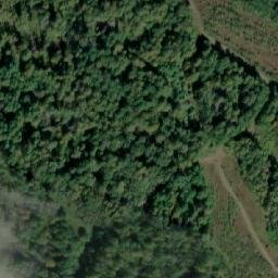 Satellite imagery of Дмитриевка, RU